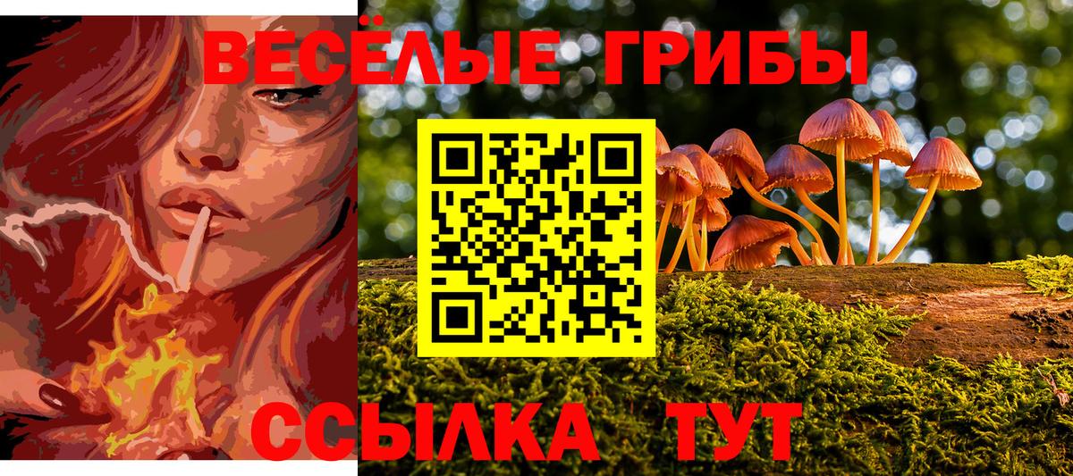 Галлюциногенные грибы прущие грибы Южно-Сахалинск